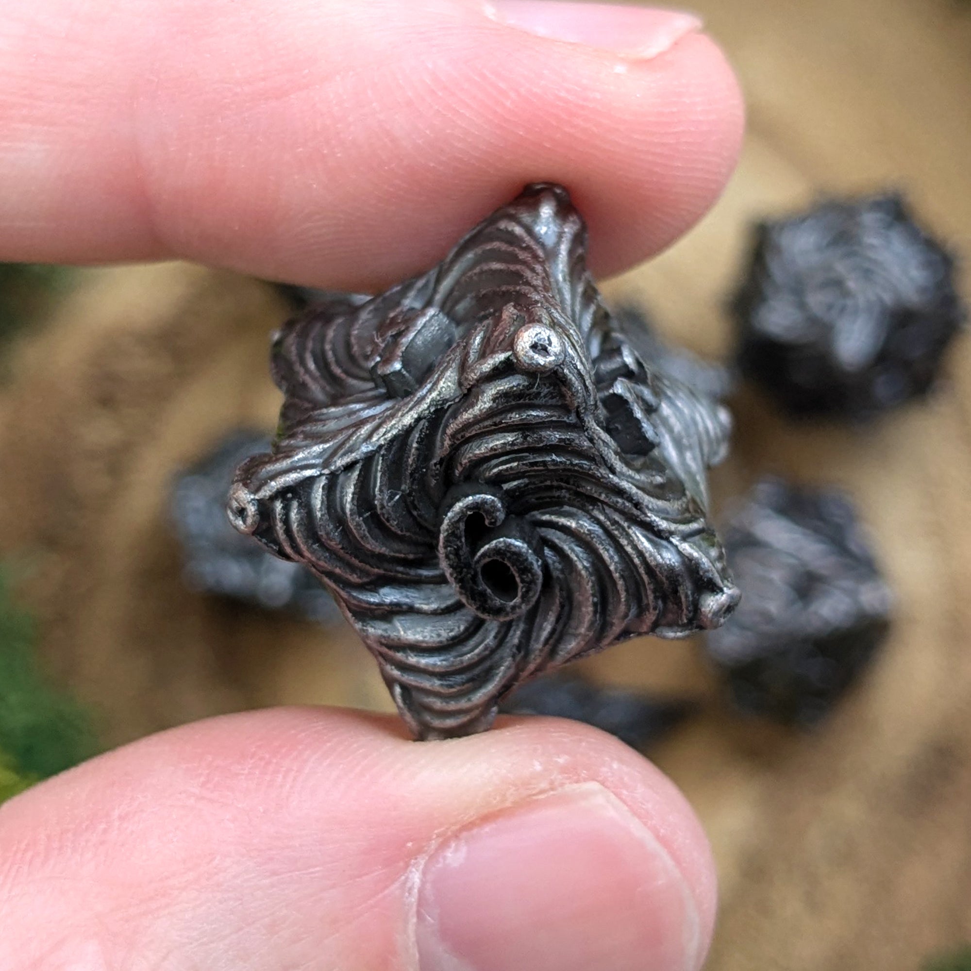 Nautiloid | Metal Dice - Dice Set - Luffleberry