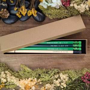 Druid Pencil Set with Box